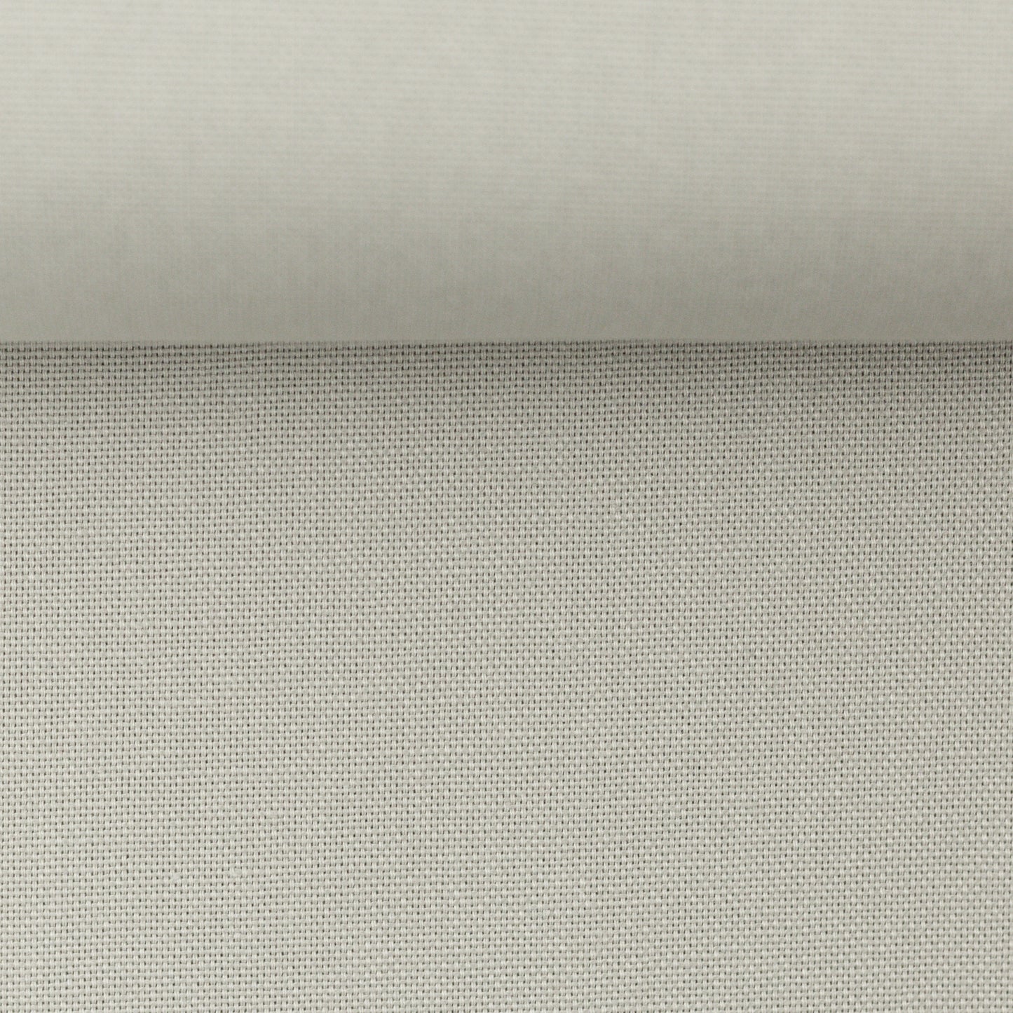 Canvas Camel