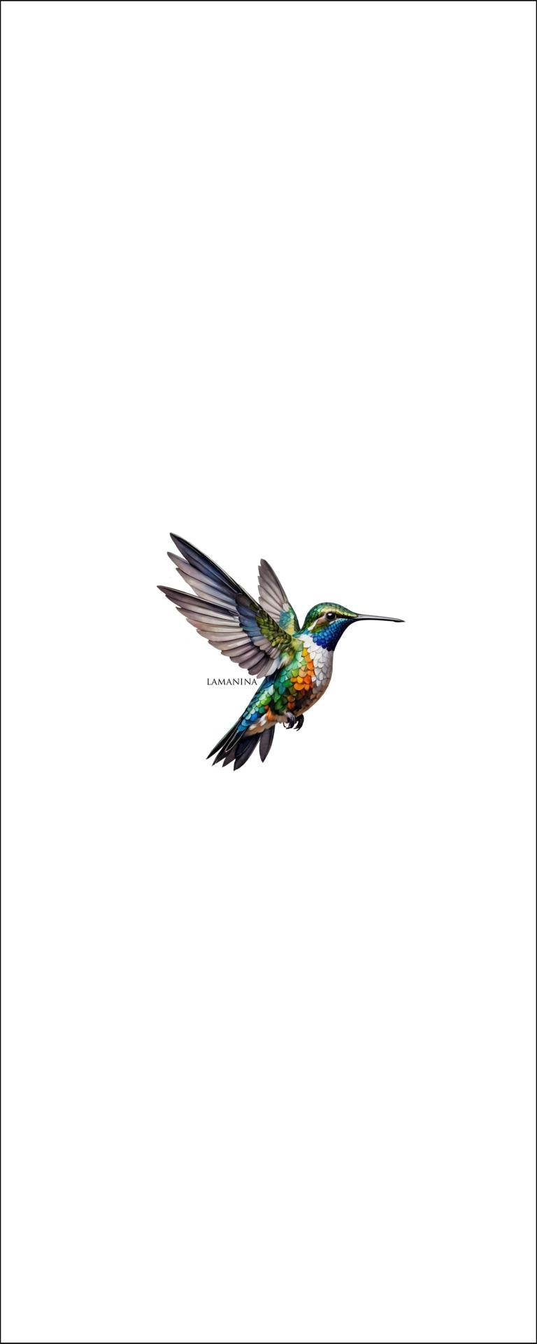 Kolibri by Lamanina Canvas